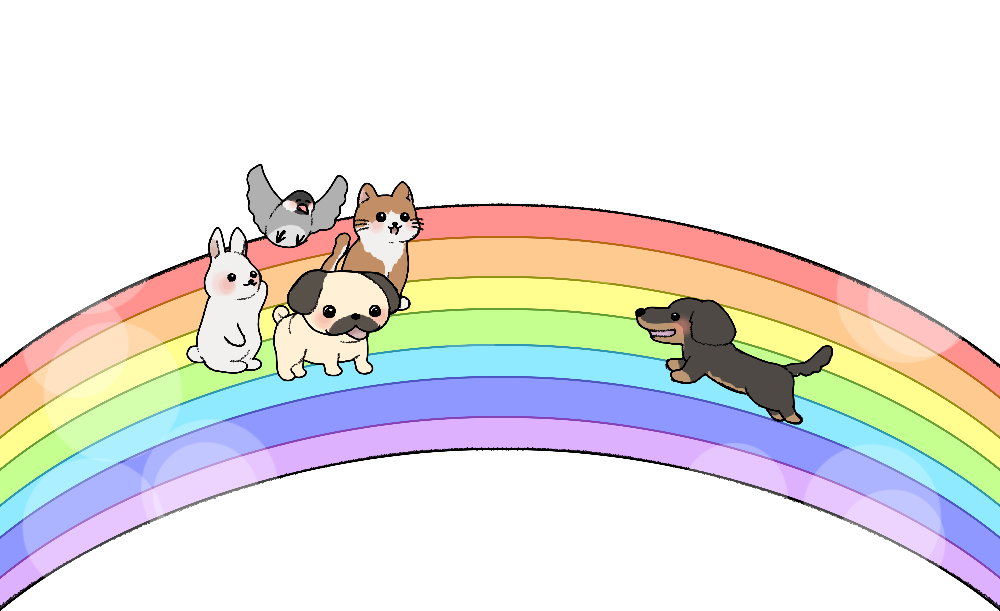 ペット訪問セレモニー空 ペット訪問セレモニー空